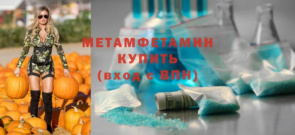 сатива Аркадак